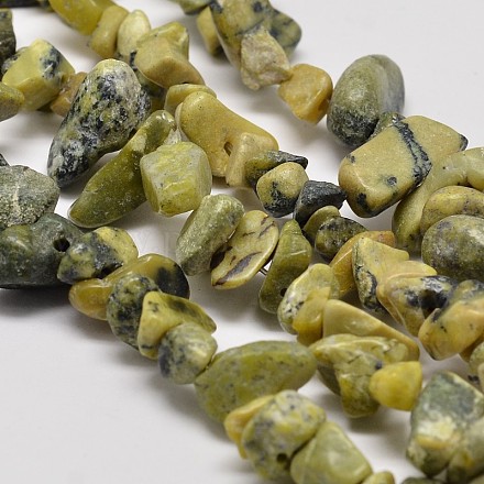 Natural Gemstone Chip Beads Strands G-L269-38-1