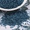 MIYUKI Delica Beads, Cylinder, Japanese Seed Beads, 11/0, (DB2384) Inside Dyed Stormy, 1.3x1.6mm, Hole: 0.8mm, about 20000pcs/bag, 100g/bag
