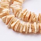 Natural Sea Shell Beads Strands BSHE-K012-08-3