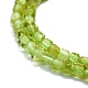 Natürlichen Peridot Perlen Stränge G-P457-B01-06-2