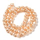 Natural Cultured Freshwater Pearl Beads Strands PEAR-E017-41-2