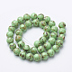 Assembled Synthetic Turquoise and Shell Beads Strands G-S212-8mm-07-3