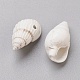 Perles de coquillages en spirale BSHE-L037-03-2