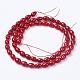 Dyed Natural Coral Beads Strands CORA-G116-03-2