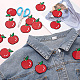 Chgcraft 18 pièces patchs pomme pour vêtements fer sur patchs accessoires de costumes pour vêtements vestes jeans sacs à dos PATC-CA0001-01-4