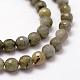 Faceted Natural Labradorite Beads Strands G-F364-17-6mm-3