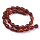 Natural Carnelian Beads Strands X-G-N326-74-2