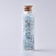 Glass Wishing Bottle DJEW-L013-A19-1
