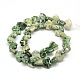 Weißer Bär natürlichen grünen Fleck Jaspis Perlen Stränge G-A128-AS20-2