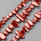 Spray Painted Natural Freshwater Shell Beads Strands SHEL-S276-89B-1