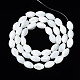 Chapelets de perles de coquille de trochid / trochus coquille SSHEL-S266-021A-02-2