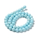 Natural Howlite Beads Strands G-E604-B02-B-3