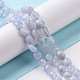 Natural Blue Chalcedony Beads Strands G-K203-26-4