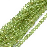 Chapelets de perles en péridot naturel, facette, plat rond, 3.5~4x2~3mm, Trou: 0.6mm, Environ 102~110 pcs/chapelet, 15.35~15.51 pouce (39~39.4 cm)