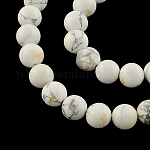 Rondes howlite naturelle perles brins, 8mm, Trou: 1mm, Environ 50 pcs/chapelet, 15.7 pouce