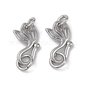 Латуни крюка и S-крючок застежки KK-G497-25P