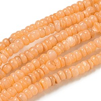Tinti d'acqua dolce naturale perline shell fili&nbsp;X1-BSHE-G039-07A