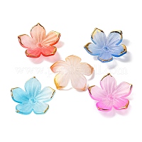 Прозрачные колпачки акриловая бисера&nbsp;TACR-P011-03G