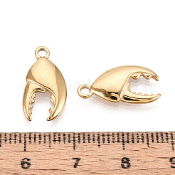 Подвески из нержавеющей стали 304&nbsp;STAS-T067-100G