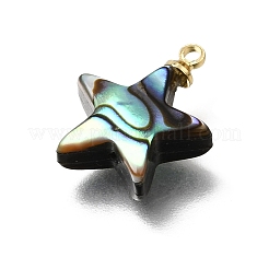 Ciondoli in conchiglia di abalone naturale&nbsp;SH-CJC0AC7-01D-G