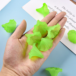 Прозрачные акриловые бусины&nbsp;BSF796-C18