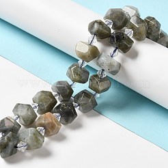 Perline labradorite naturale fili&nbsp;G-E578-03