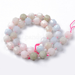 Fili di perline morganite naturale&nbsp;G-R482-03-10mm