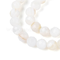 Нити бусин из натуральных пресноводных ракушек&nbsp;SHEL-N038-32