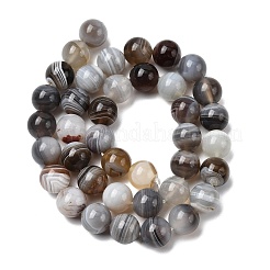 Природные Ботсвана агат бисер нитей&nbsp;G-H334-A01-03