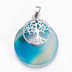 Pendentifs d'agate naturelle&nbsp;G-F573-C21