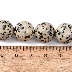 Природные яшмы далматин бисер нитей&nbsp;G-A310-A05-14mm