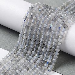 Природные лабрадорита бисер нитей&nbsp;LS-G-L587-B01-01