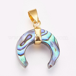 Paua-Muschel Anhänger&nbsp;KK-G346-01B