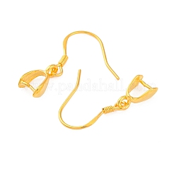 925 найденные крючки серебристого серебра&nbsp;STER-I014-28G