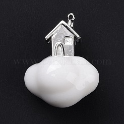 Pendentifs acryliques&nbsp;FIND-I024-05B