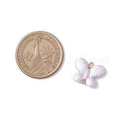 Непрозрачные акриловые подвески-бабочки&nbsp;PALLOY-JF04284-02