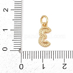 Breloques en laiton&nbsp;KK-G544-10G-03