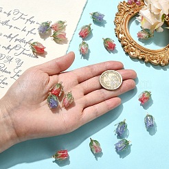 6шт 3 цвета прозрачные акриловые подвески&nbsp;SACR-YW0002-09