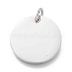 Подвески из нержавеющей стали марки 304&nbsp;LS-EJEW-L238-03E-P