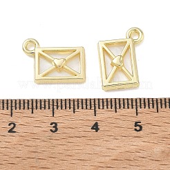 Legierungsacrylanhänger&nbsp;FIND-D044-23G-01