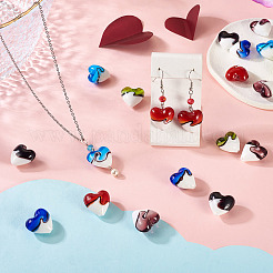 24шт 6 цвета бусины лэмпворк ручной работы&nbsp;LAMP-CW0001-09