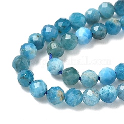 Perline apatite naturale fili&nbsp;LS-G-N342-34-01