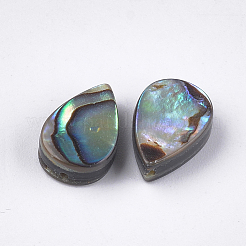 Abalone shell / paua shell beads&nbsp;LS-SSHEL-T008-08