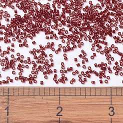 Miyuki Delica Perlen&nbsp;SEED-JP0008-DB1102