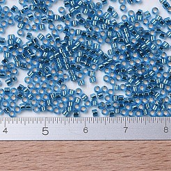 Miyuki Delica Perlen&nbsp;SEED-X0054-DB0149
