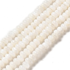 Нити бусин из натуральных пресноводных ракушек&nbsp;BSHE-E026-15B-02
