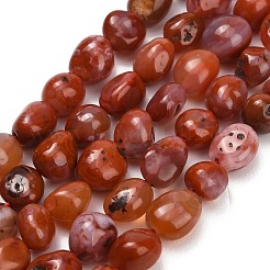 Brins de perles d'agate rouge naturelle (teintes et chauffées)&nbsp;G-C287-A01-01