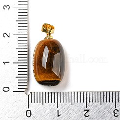 Природных тигровый глаз подвески&nbsp;G-D094-05A-G