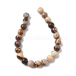 Естественно австралийский агат круглый шарик нити&nbsp;X-G-M272-02-8mm