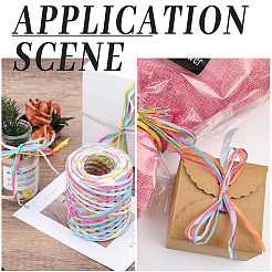 Сегментированные окрашенные шнуры из рафии для поделок своими руками&nbsp;OCOR-WH20020-27C